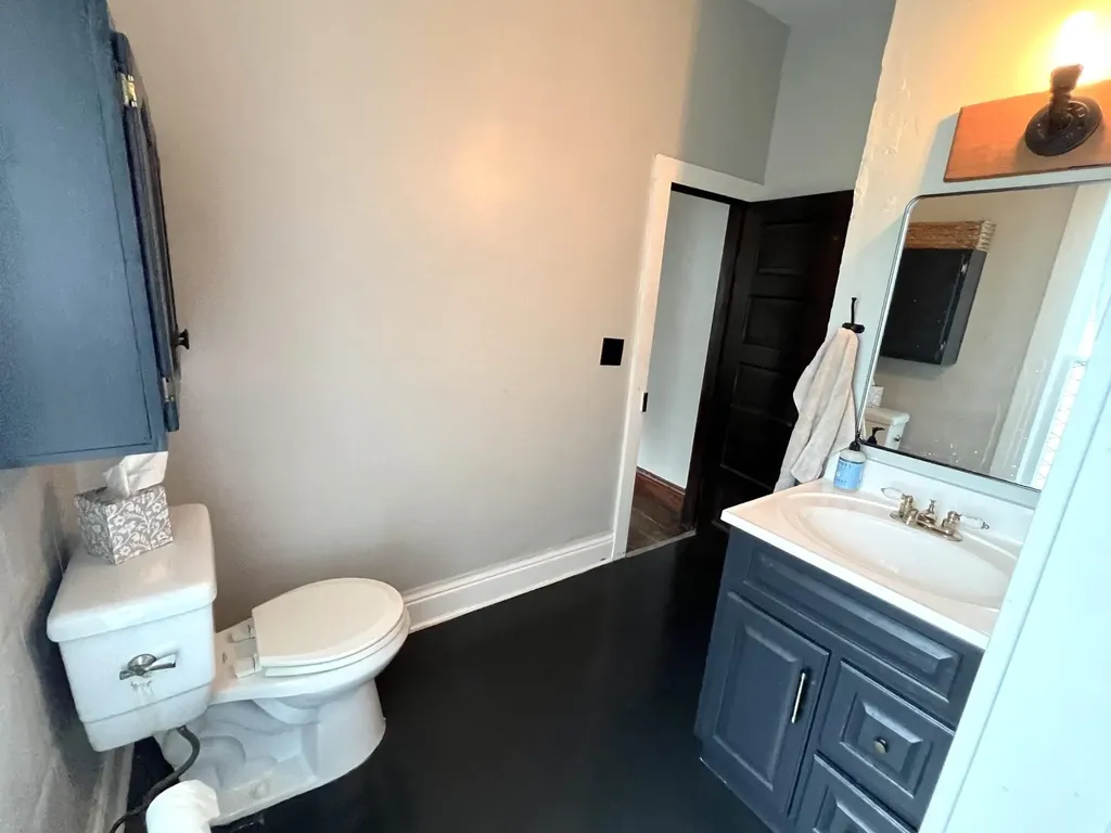 229 5th Street Burr Oak Village MI 49030