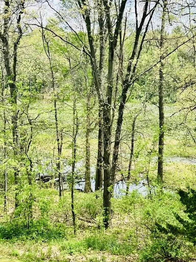 18610 M 86 Lockport Township MI 49093