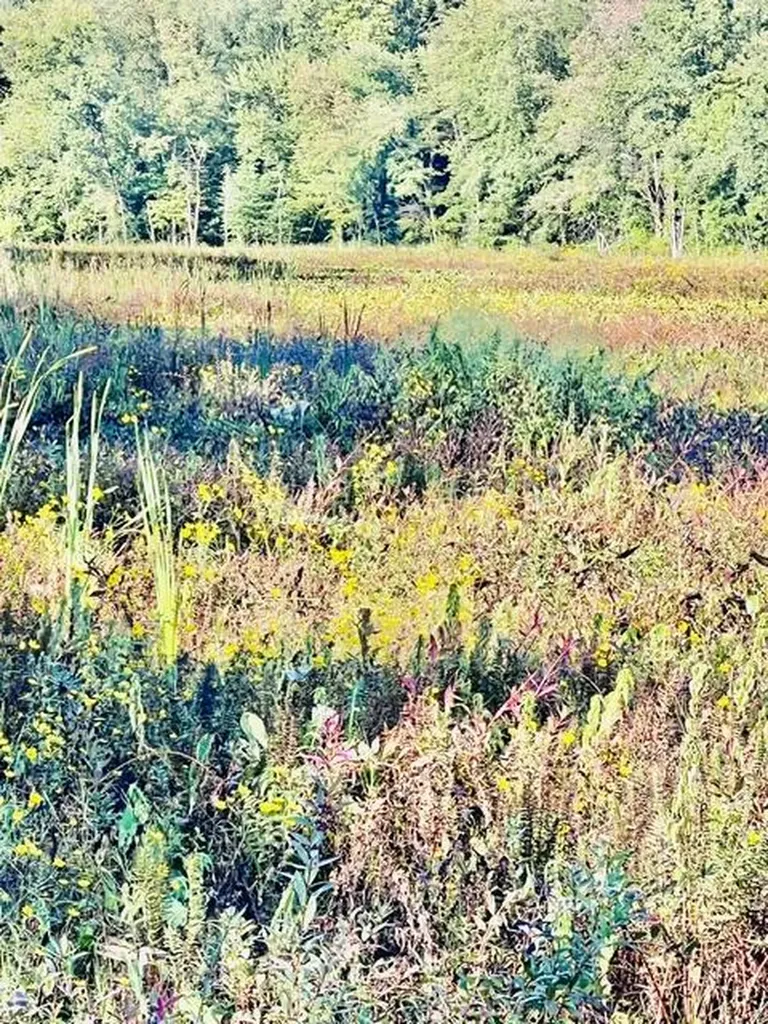 18610 M 86 Lockport Township MI 49093