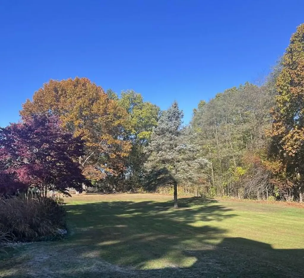 18610 M 86 Lockport Township MI 49093