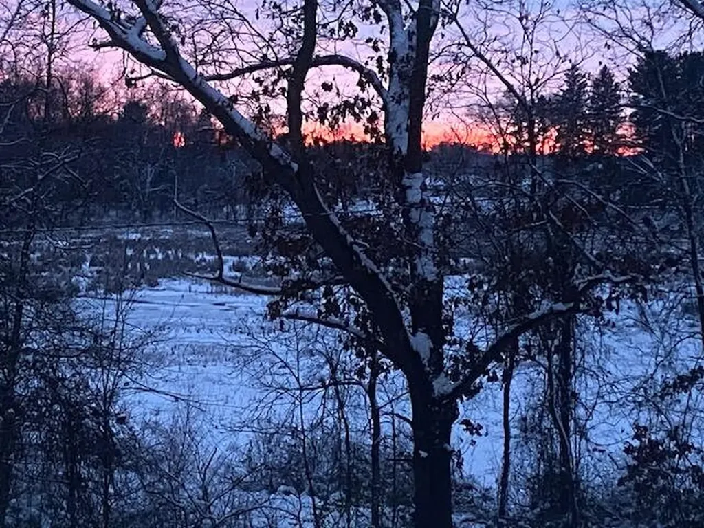 18610 M 86 Lockport Township MI 49093