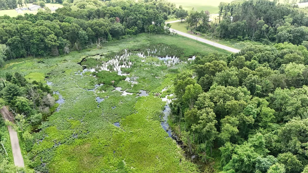 18610 M 86 Lockport Township MI 49093