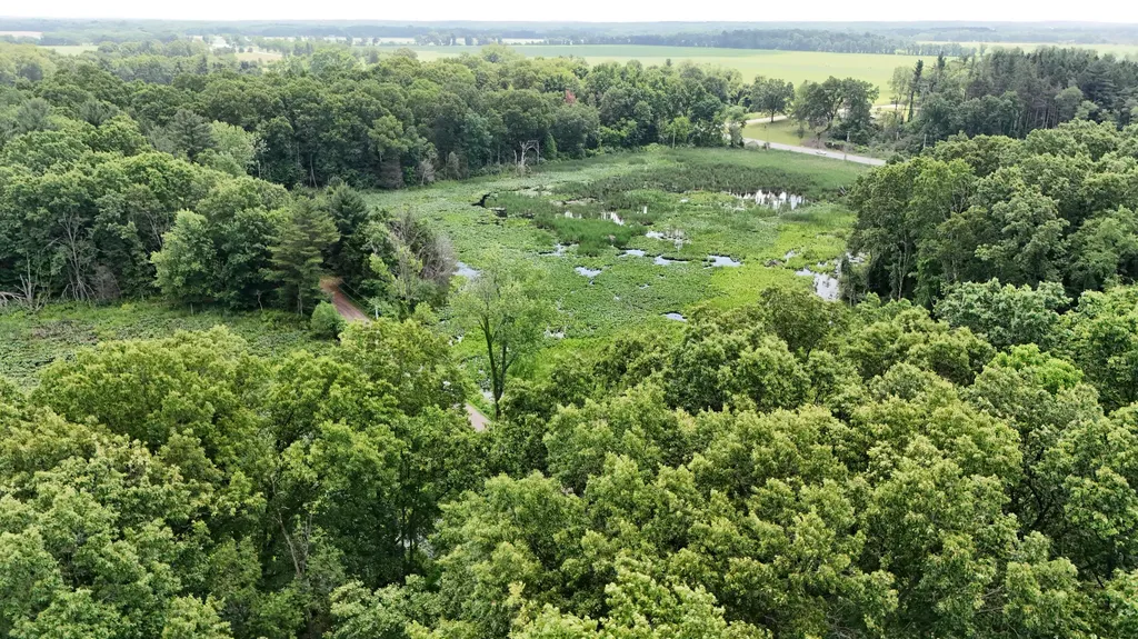 18610 M 86 Lockport Township MI 49093