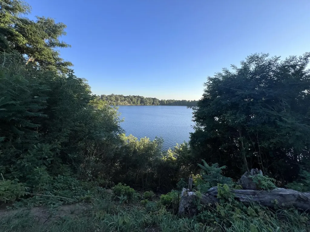 12039 Bair Lake Street Newberg Township MI 49061