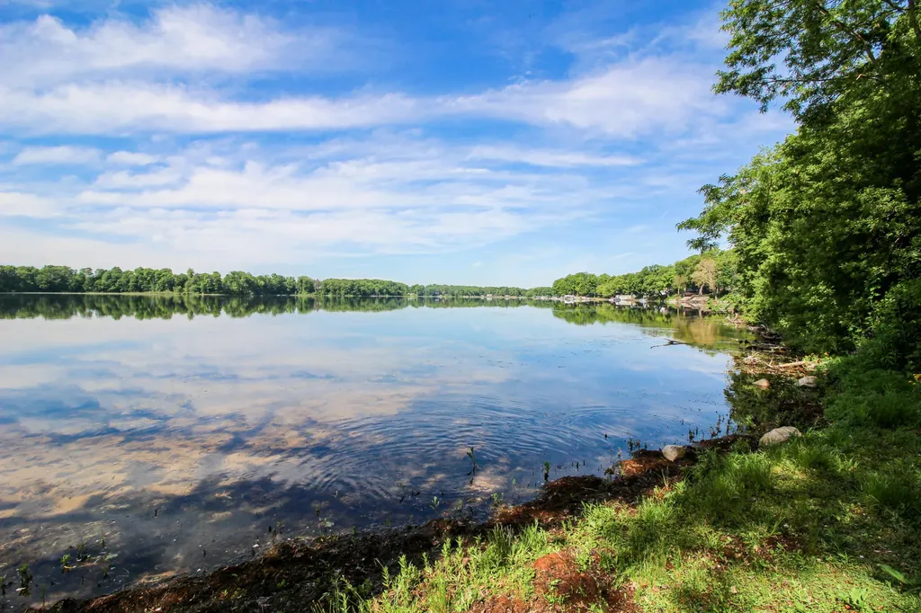 12039 Bair Lake Street Newberg Township MI 49061