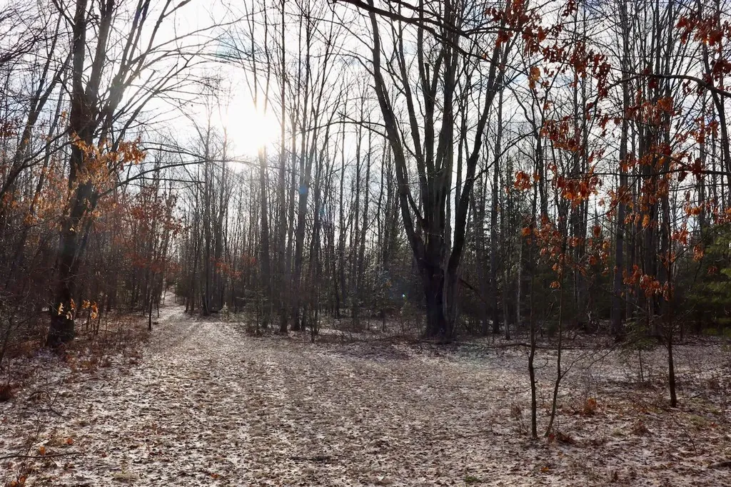 5717 Maple Ridge Road Clayton Township MI 48659