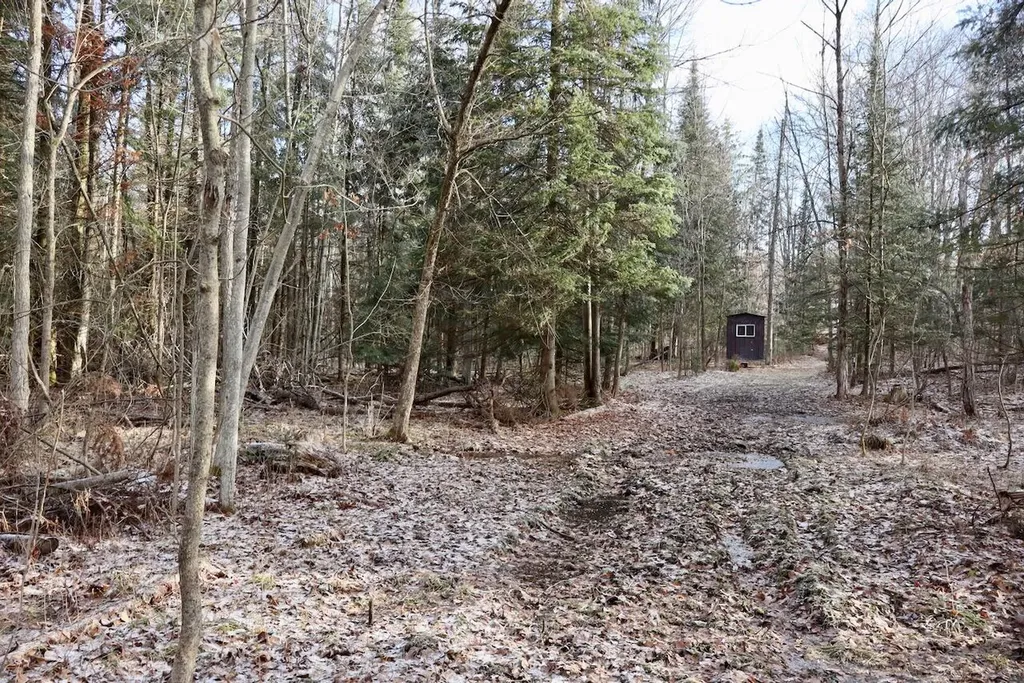 5717 Maple Ridge Road Clayton Township MI 48659