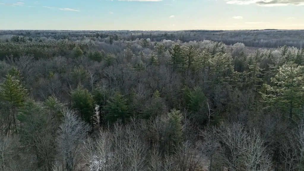 5717 Maple Ridge Road Clayton Township MI 48659