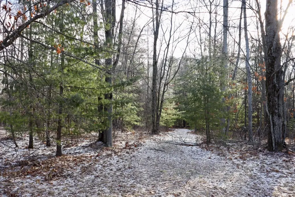 5717 Maple Ridge Road Clayton Township MI 48659