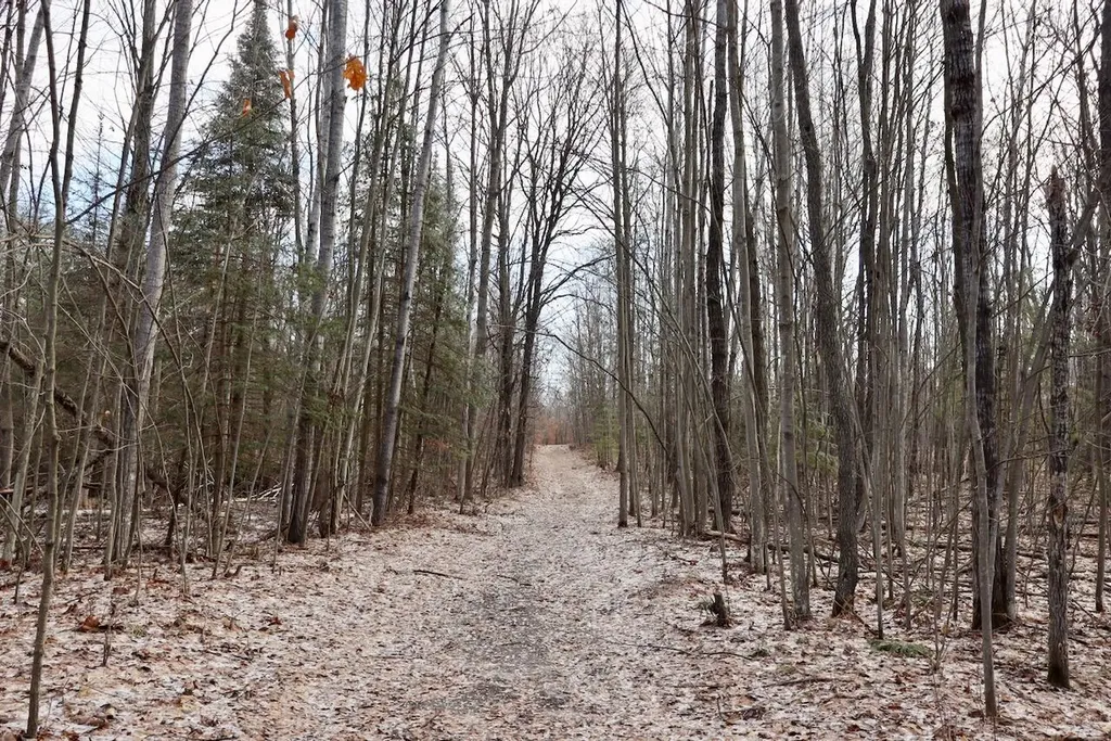 5717 Maple Ridge Road Clayton Township MI 48659