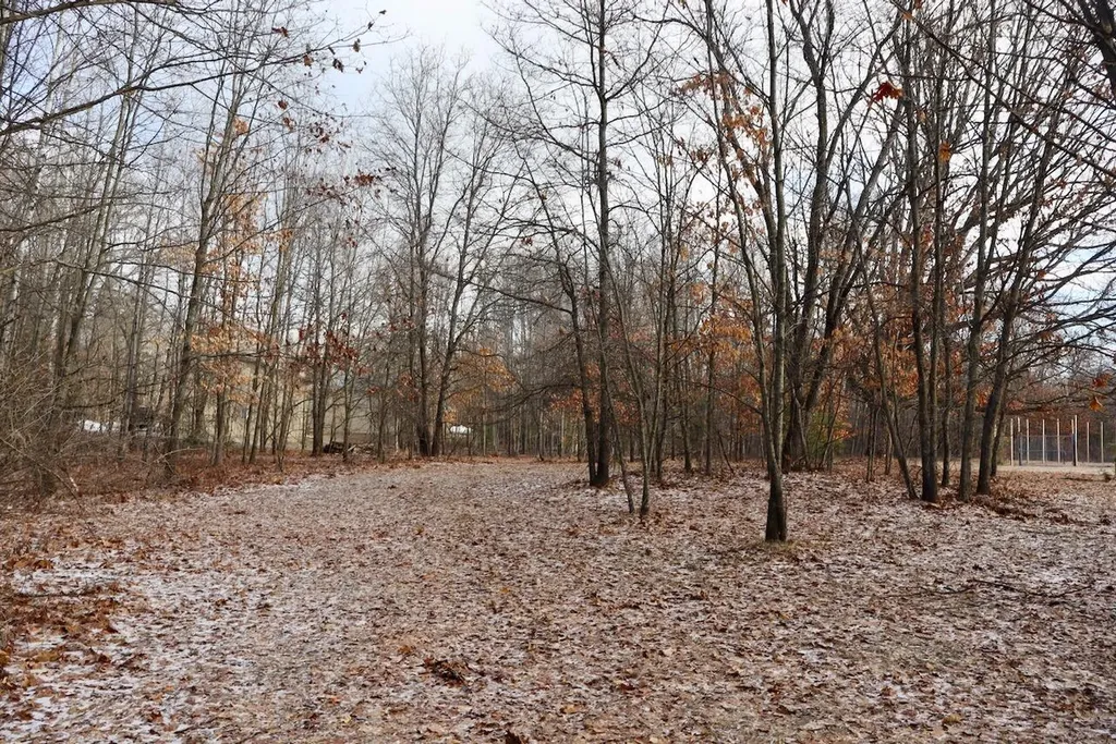 5717 Maple Ridge Road Clayton Township MI 48659