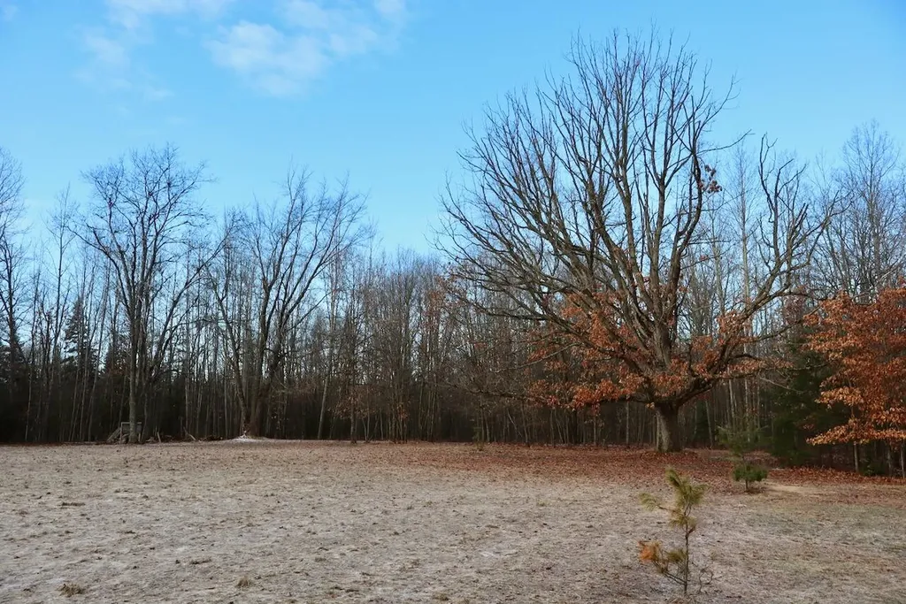 5717 Maple Ridge Road Clayton Township MI 48659