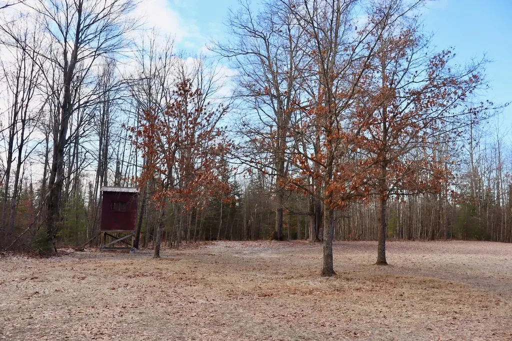 5717 Maple Ridge Road Clayton Township MI 48659