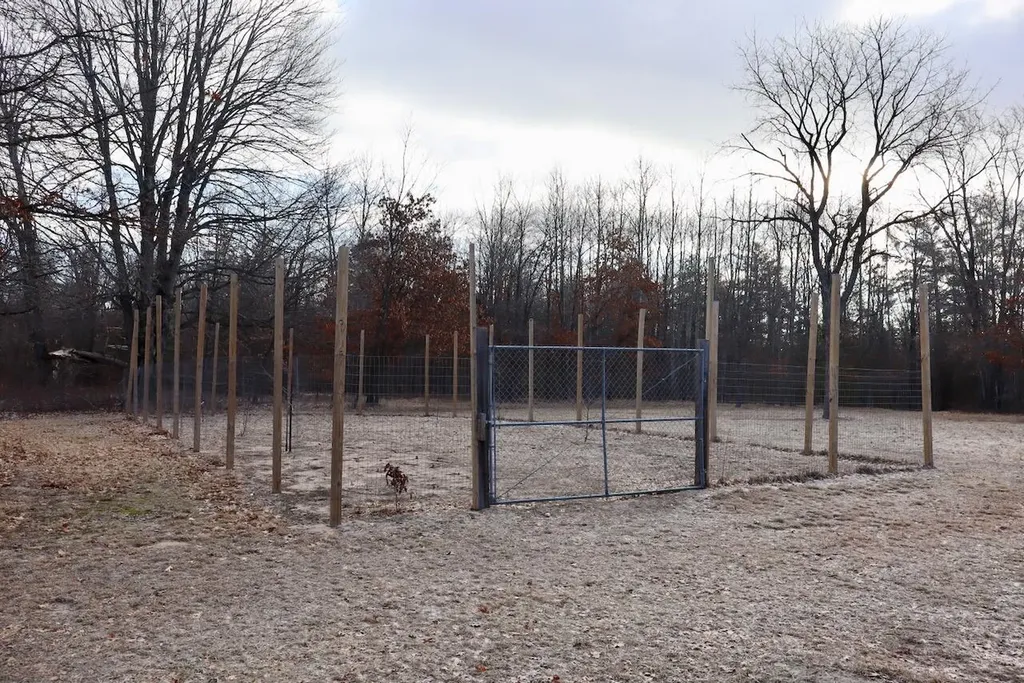 5717 Maple Ridge Road Clayton Township MI 48659