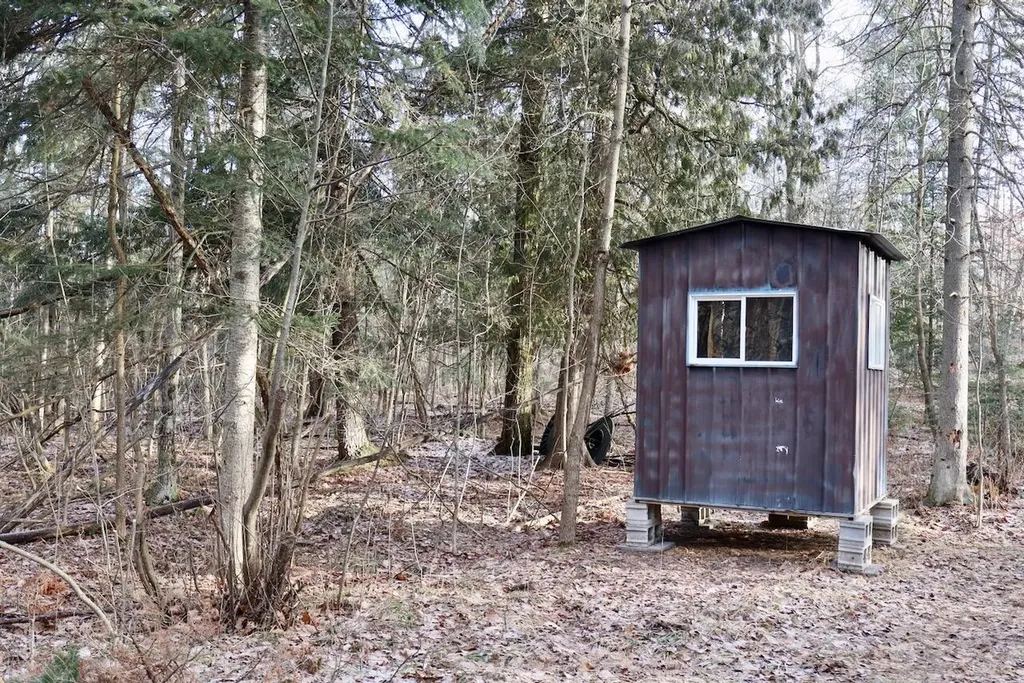 5717 Maple Ridge Road Clayton Township MI 48659