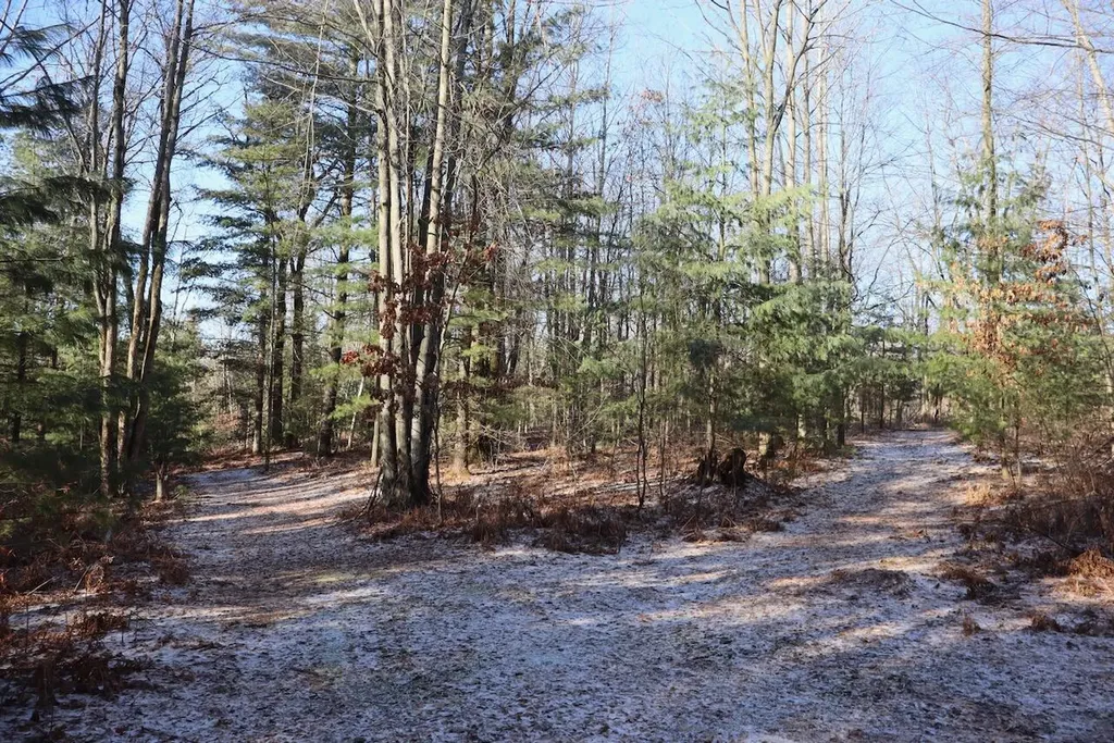 5717 Maple Ridge Road Clayton Township MI 48659