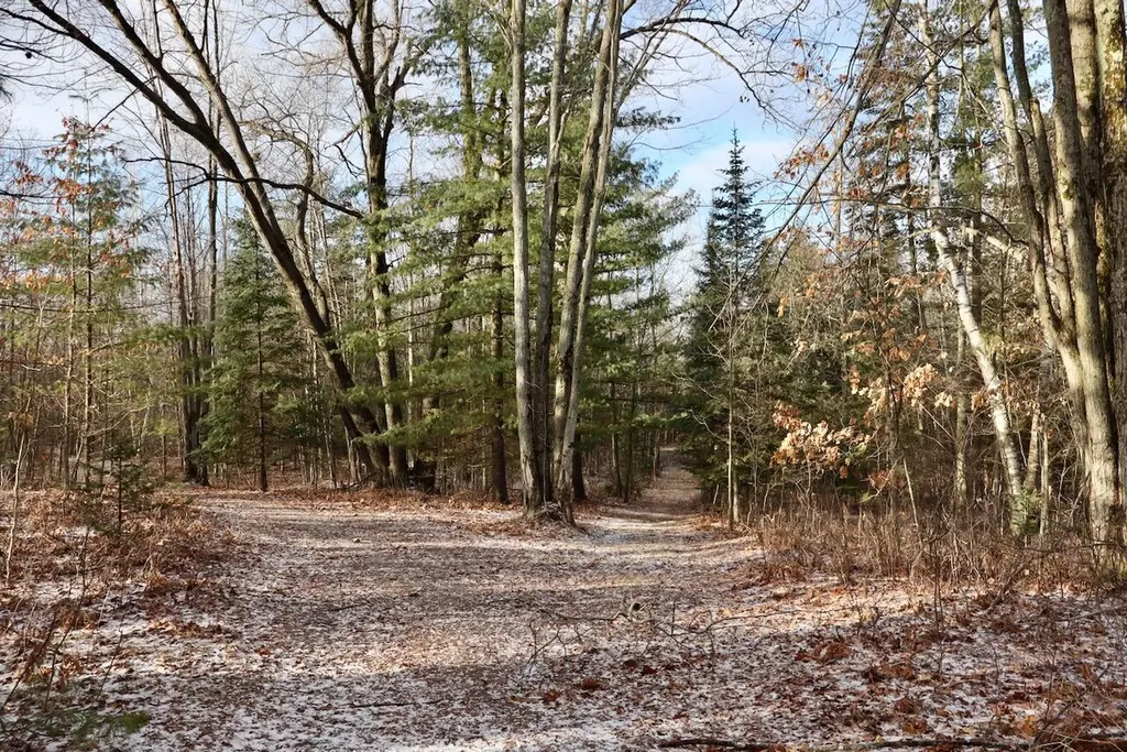 5717 Maple Ridge Road Clayton Township MI 48659