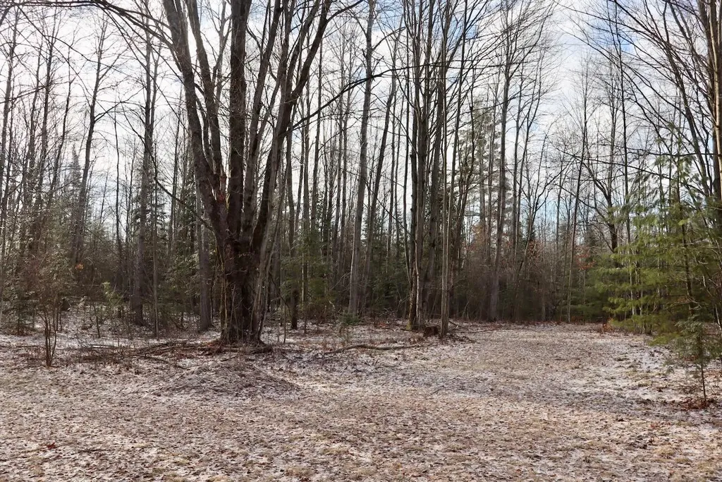 5717 Maple Ridge Road Clayton Township MI 48659