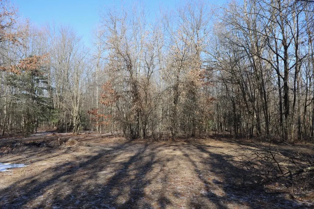 5717 Maple Ridge Road Clayton Township MI 48659