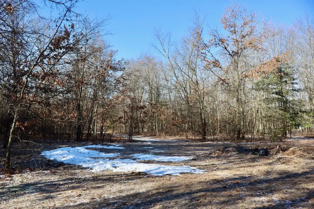 5717 Maple Ridge Road Clayton Township MI 48659