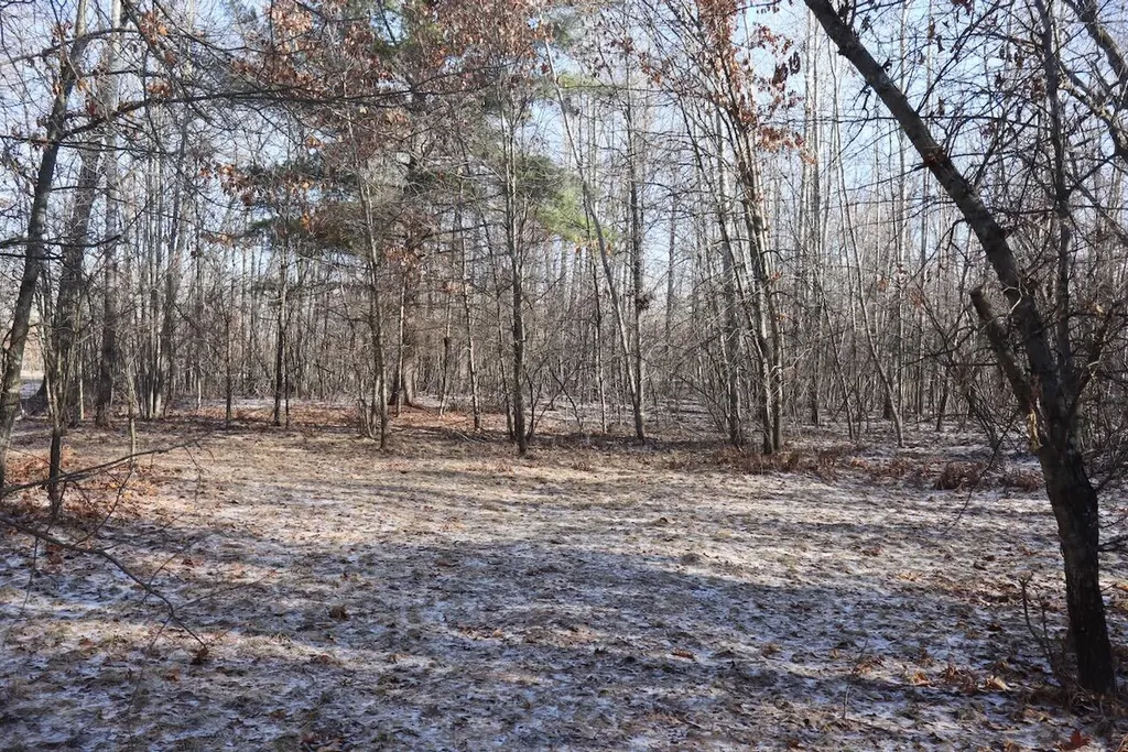 5717 Maple Ridge Road Clayton Township MI 48659