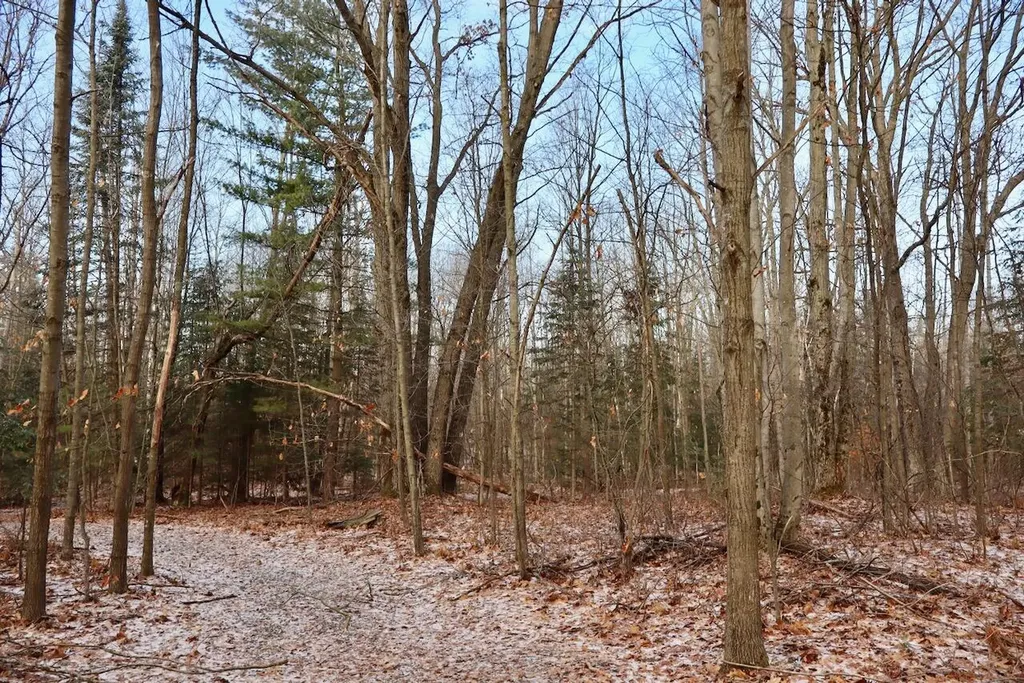 5717 Maple Ridge Road Clayton Township MI 48659