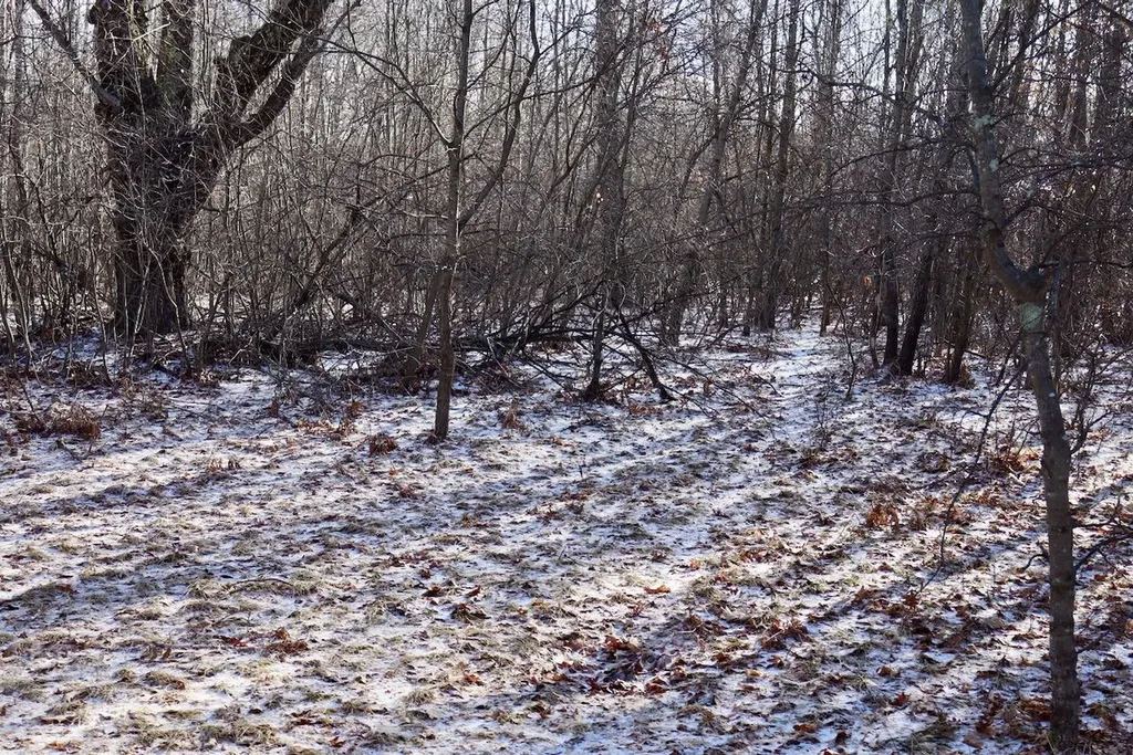 5717 Maple Ridge Road Clayton Township MI 48659