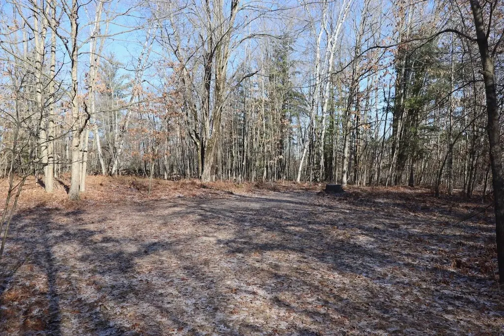 5717 Maple Ridge Road Clayton Township MI 48659