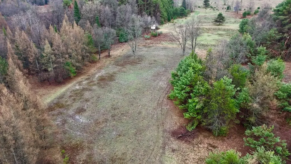 20200 Hibma Road Burdell Township MI 49688