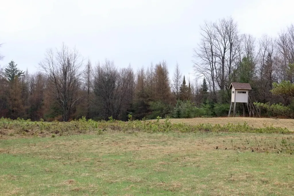 20200 Hibma Road Burdell Township MI 49688