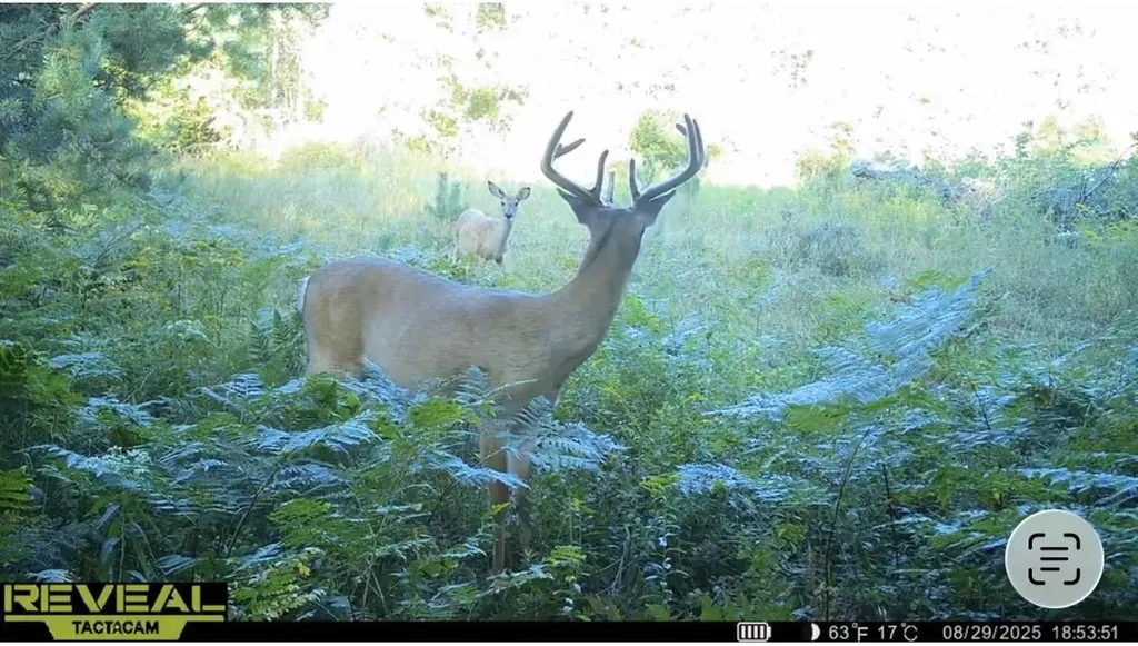 20200 Hibma Road Burdell Township MI 49688