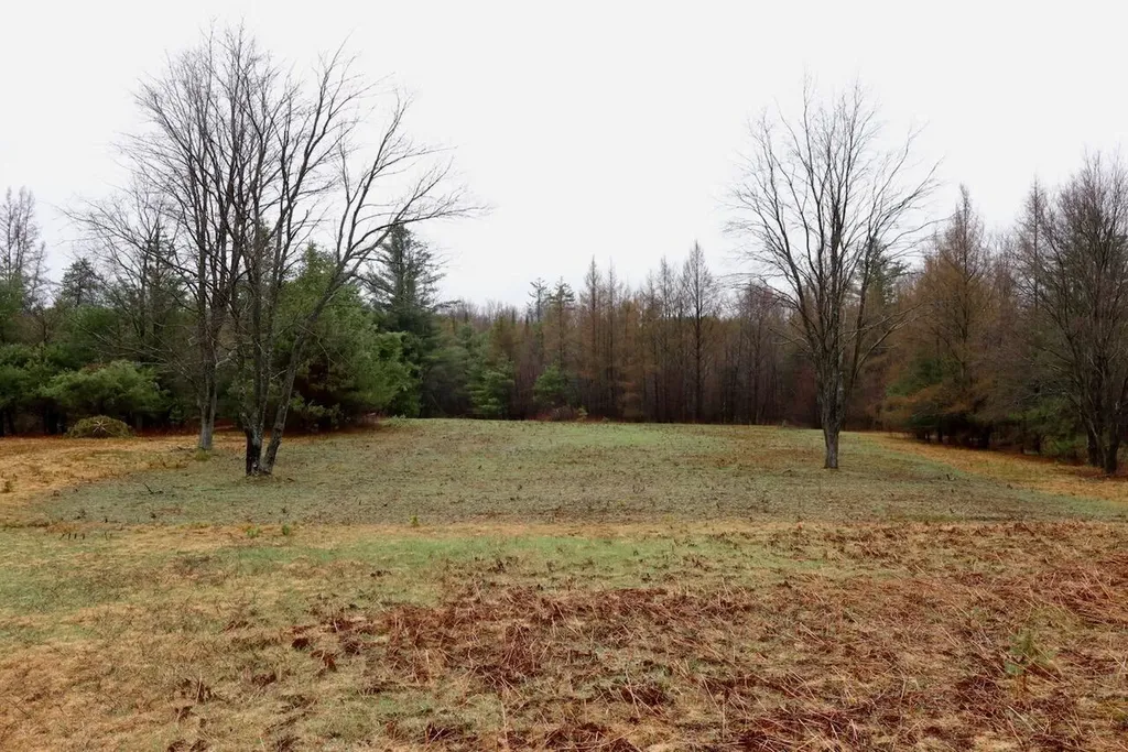 20200 Hibma Road Burdell Township MI 49688