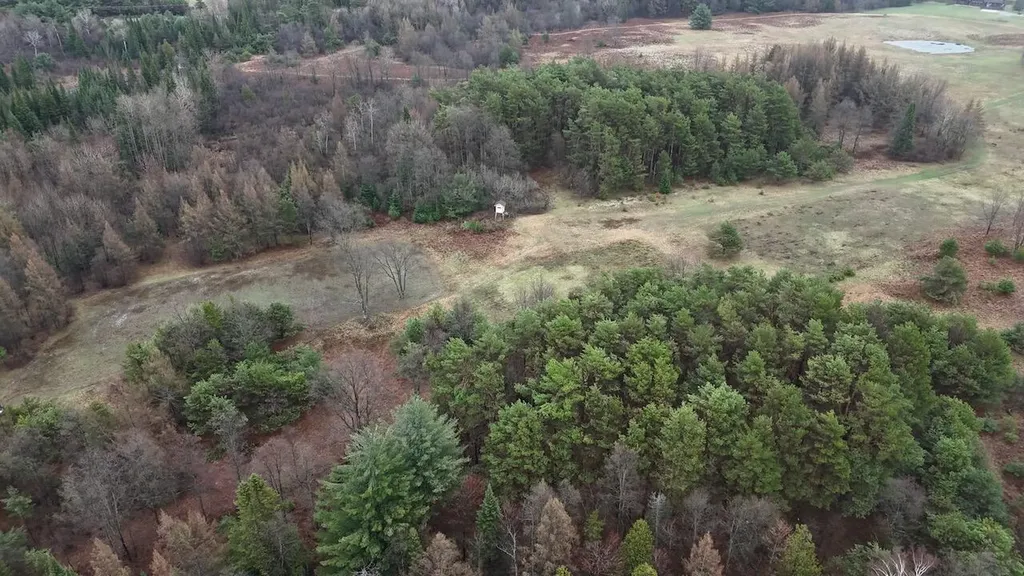 20200 Hibma Road Burdell Township MI 49688
