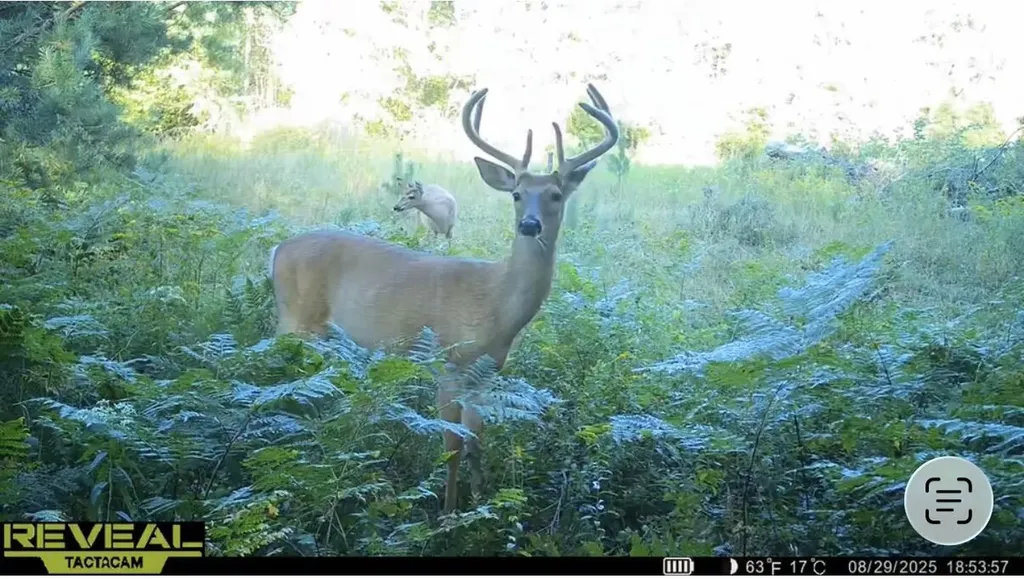 20200 Hibma Road Burdell Township MI 49688