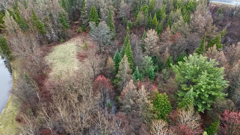 20200 Hibma Road Burdell Township MI 49688