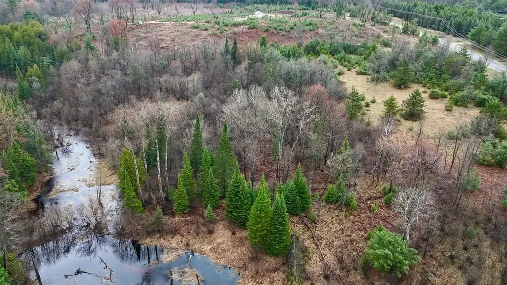 20200 Hibma Road Burdell Township MI 49688
