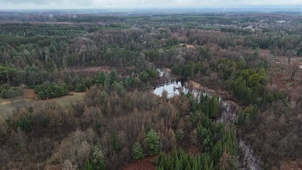 20200 Hibma Road Burdell Township MI 49688