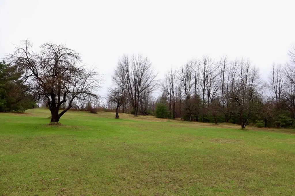 20200 Hibma Road Burdell Township MI 49688