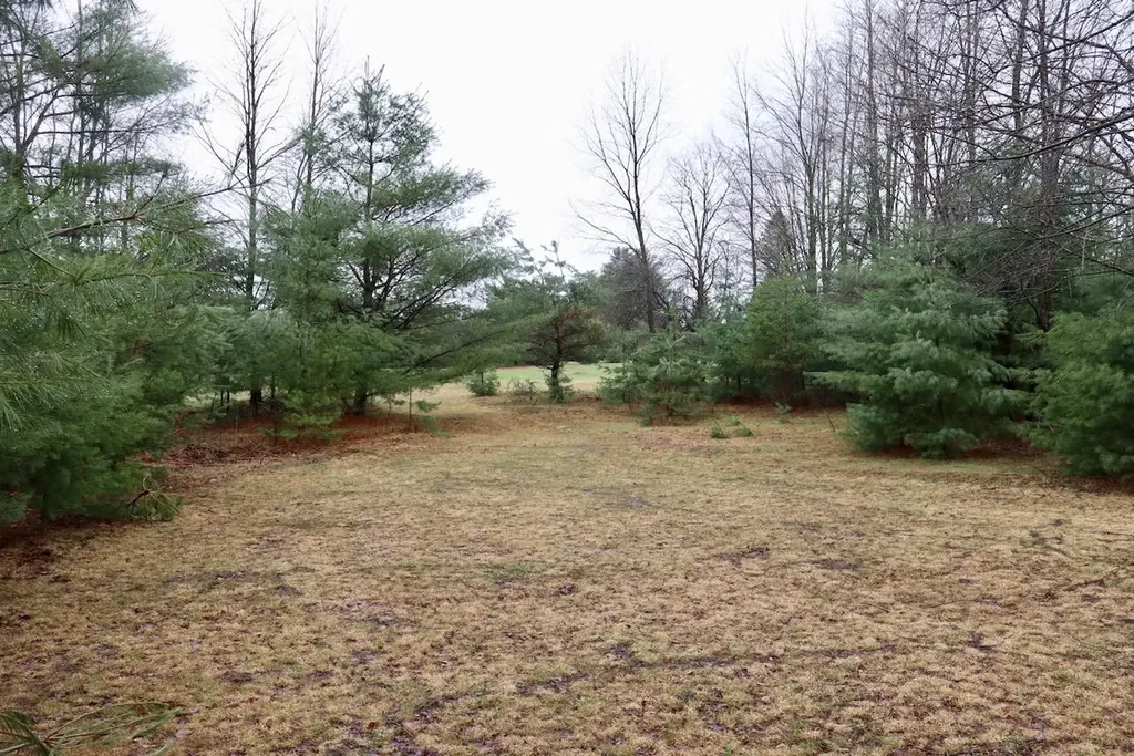 20200 Hibma Road Burdell Township MI 49688