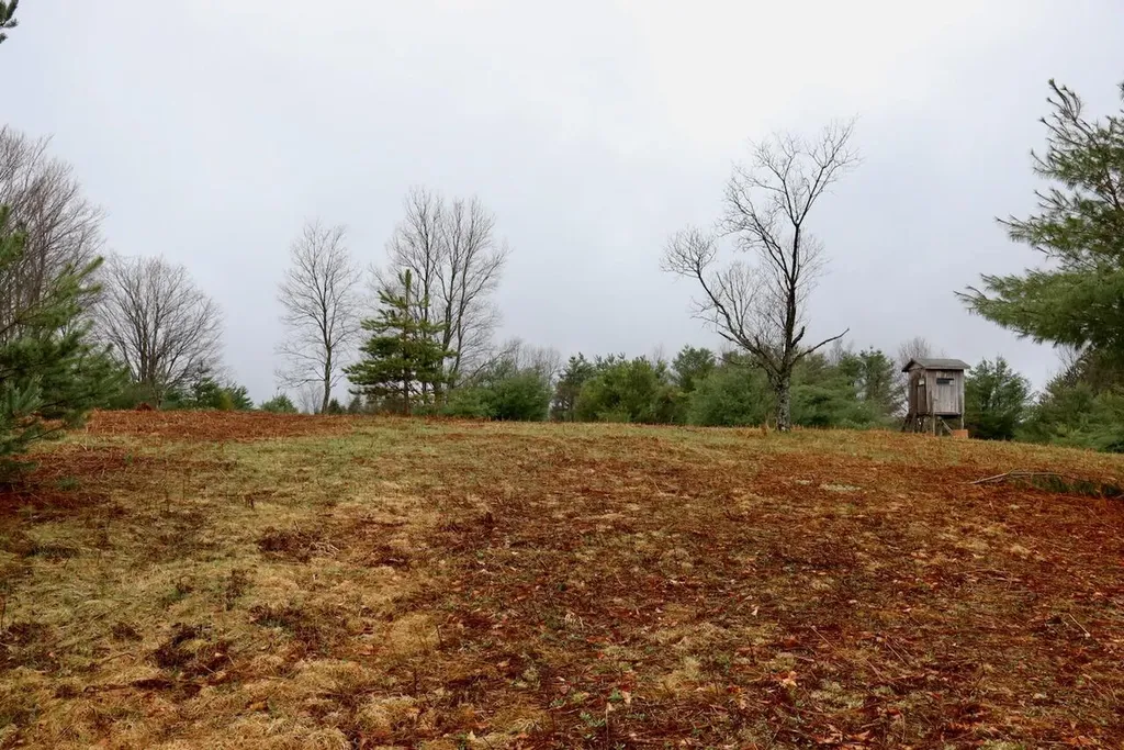 20200 Hibma Road Burdell Township MI 49688