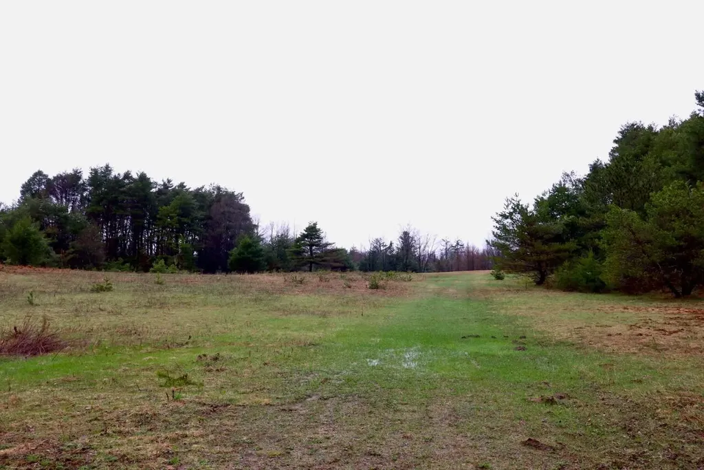 20200 Hibma Road Burdell Township MI 49688