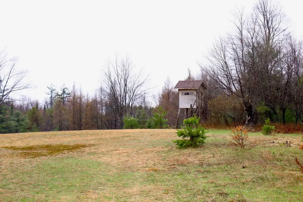 20200 Hibma Road Burdell Township MI 49688