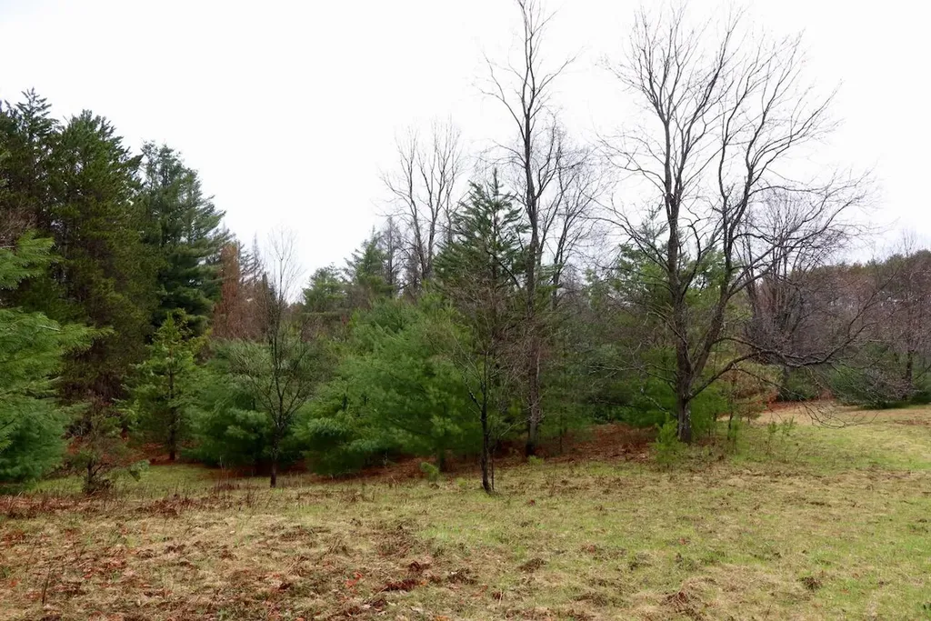 20200 Hibma Road Burdell Township MI 49688
