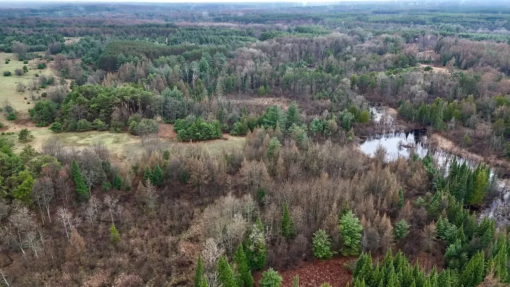 20200 Hibma Road Burdell Township MI 49688