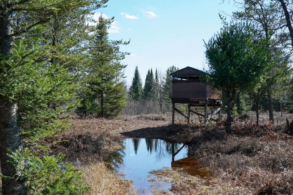 5840 Wildwood Road Secord Township MI 48610