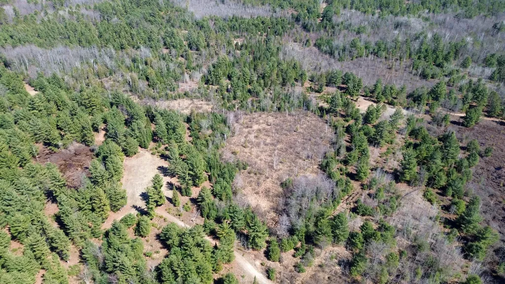 5840 Wildwood Road Secord Township MI 48610