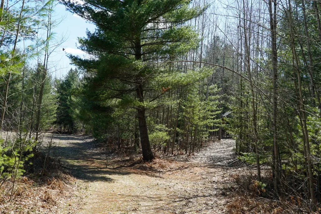 5840 Wildwood Road Secord Township MI 48610
