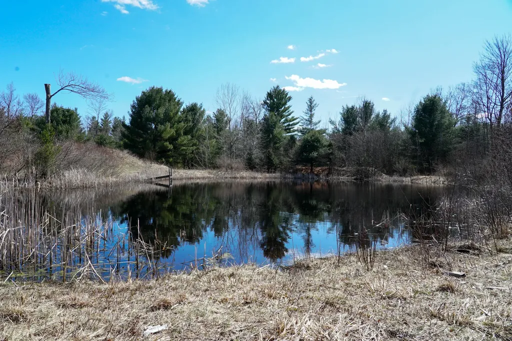 5840 Wildwood Road Secord Township MI 48610