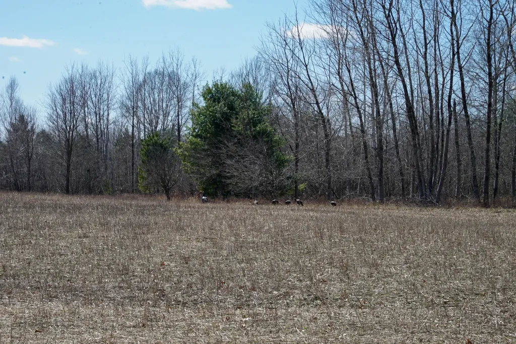 5840 Wildwood Road Secord Township MI 48610
