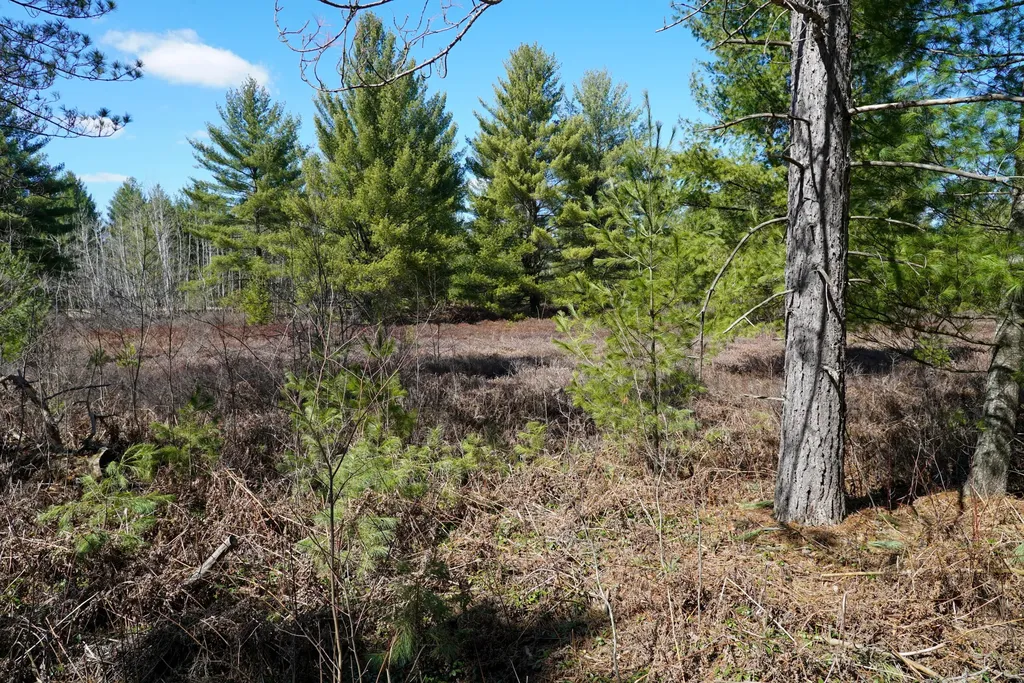 5840 Wildwood Road Secord Township MI 48610